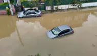Türkiye'nin En Büyük Subasari Ormaninda Taskin!