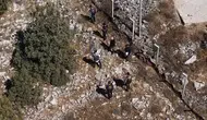 3 yaşındaki Yakup toprağa gömülü bulunmuştu: 14 yıllık faili meçhul cinayette baba tutuklandı
