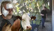 Kocaeli'nde Muştalı Komşu Kavgası: Öğretmen Yaşlı Adamı Hastanelik Etti