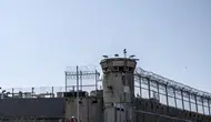 Filistinli Çocuk Esirlerin İsrail Hapishanelerindeki Dramı