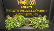 Antalya'da Narkotik Operasyonları: Binlerce Uyuşturucu Ele Geçirildi