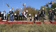 Kastamonu'da 300 sülün doğaya salındı
