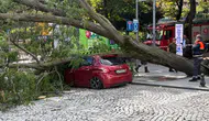Şişli'de Park Halindeki Otomobilin Üzerine Ağaç Devrildi