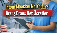2026 İntörn Maaşları Ne Kadar? Güncel Ücretler ve Ödeme Tarihleri