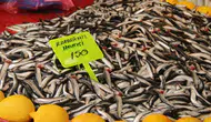 Hamsi fiyatları Menteşe'de neden 150 liraya geriledi? Balık tezgahlarında neler oluyor?