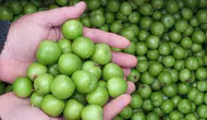 Yeşil Erik Fiyatları Neden Bu Kadar Yüksek? Tüketiciler Ne Düşünüyor?