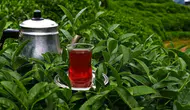 Paket çay fiyatlarında büyük artışlar yaşanıyor: Tüketici ne yapmalı?
