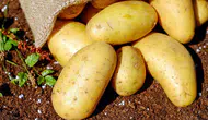 Patates fiyatları yüzde 700 fırladı