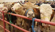 Kurban Bayramı tatili 9 gün mü oldu? Bayram tatili hangi gün başlıyor ve bitiyor?