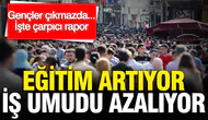 Eğitim artıyor, iş umudu azalıyor : İşte çarpıcı rapor