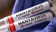 Hantavirüs nereden çıktı, kurgu mu? İlaç kartelleri üzerine çarpıcı iddialar