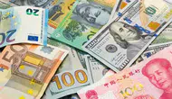 Dolar kaç TL oldu, Euro ne kadar?