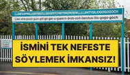 Emine Alangoya kimdir, kaç yaşında, nereli ve mesleği nedir? İşte hayatı ve kariyeri