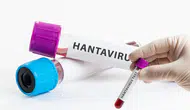Hantavirüs insandan insana bulaşır mı ve ne kadar tehlikeli?