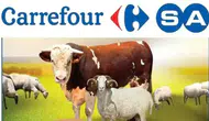 Carrefour kurbanlık fiyatları 2026: Büyükbaş ve küçükbaş kurbanlık seçenekleri ne kadar?