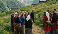 Dünyada sadece Türkiye'de üretilen anzer balının fiyatı neden bu kadar yükseldi?