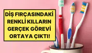 Diş hekimleri açıkladı : Diş fırçası kıllarının renkleri aslında ne anlama geliyor?
