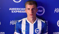 Brighton, Costinha'yı renklerine bağladı