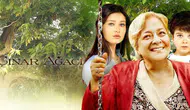 Çınar Ağacı filmi ne zaman, nerede çekildi? Konusu nedir, oyuncuları kimler?