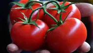 Domates tüketimi kalp sağlığını nasıl etkiliyor? Yeni araştırmalar ne diyor?