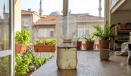 Bu basit yöntem evdeki tüm böcekleri avlayacak!