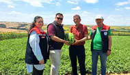 Tekirdağ'da ilk karpuz hasadı başladı