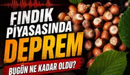 Fındık piyasasında deprem etkisi : Bugün ne kadar oldu?