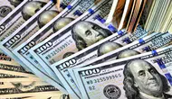 Döviz kurlarında son durum: Dolar ve Euro ne kadar oldu?