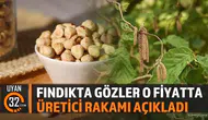 Fındıkta yeni alım fiyatı beklentisi yükseldi : Üreticiden net rakam