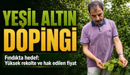 Fındıkta yeni sezon beklentileri neler? Üreticiler taban fiyatı merakla bekliyor