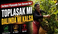 TMO fındık fiyatı açıklamadan önce serbest piyasada son durum ne?