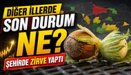 Fındık fiyatları bu şehirde zirve yaptı ! Diğer illerde son durum ne?