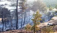 Marmaris iki gündür yanıyor! Orman yangınına havadan müdahale devam ediyor