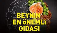 Alzheimerla savaşan besinler : Zihni güçlendiren yiyecekler nelerdir?