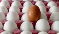 Salmonella bakterisi bulaşan yumurtaların tüketimi sonucu kaç kişi hastalandı?