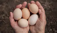 Yumurta kolesterolü yükseltir mi? Bilimsel araştırmalar ne diyor?