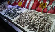 Sinop kıyılarında palamut bolluğu yaşanıyor : Balıkçılar denize açılıyor mu?