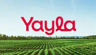Yayla Agro hisselerinde hedef fiyat düştü!