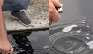 Erzurum'daki gizemli su kaynağının özellikleri neler ve neden ilgi çekiyor?