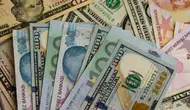Döviz kurları ne durumda : Dolar 50 lira eşiğine yaklaşıyor mu ?