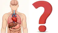 Vücudunuz sizi uyarıyor olabilir ! Hangi Sinyallere Dikkat Etmelisiniz ?