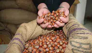 Kiev’in ‘Karpat Sekizlisi’ girişimi başarısız oldu