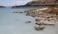 İklim krizi nedeniyle hangi ülkeler tahliye kararı aldı ? Neden bu adımlar atıldı ?