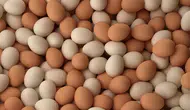 Yumurta alırken dikkat edilmesi gerekenler nelerdir?