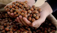 Fındıkta 80 liralık fiyat makası neden bu kadar genişliyor?