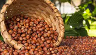 Fındık piyasasında son durum nedir?