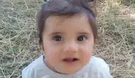 Büşra Bebek nerede? Sivas'ta kaybolan 11 aylık bebek bulundu mu?