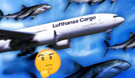 Lufthansa, köpek balığı derisinden ilham alan AeroSHARK teknolojisini Airbus uçaklarında kullanacak mı ?