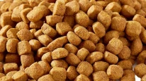 İzmir’de 14 ton sahte kedi-köpek maması ele geçirildi!