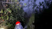 Adana'da orman yangını!